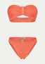 PARAMIDONNA Frida Salmon
